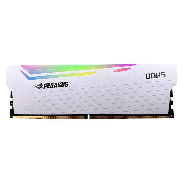 Pegasus DDR5 RAM RGB (6000MHz) - Single 16GB CL38