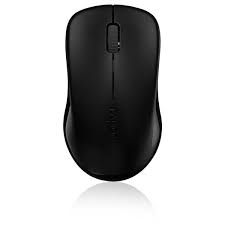 Rapoo 1620 mouse over head shot