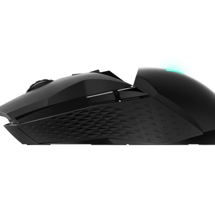 Rapoo VPRO VT950 Wireless Gaming Mouse